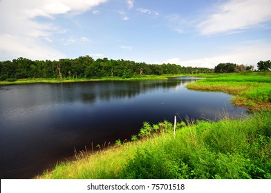 Lake In Paynes Prairie State Preserve, FL