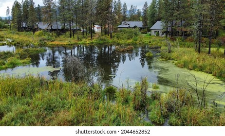 Lake Pend Oreille Marsh Scenery