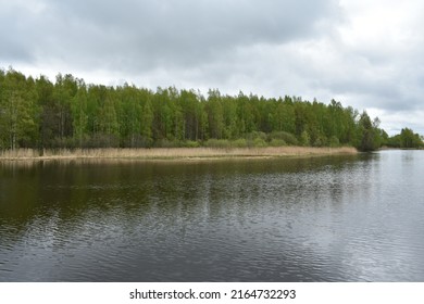 Lake. Piers On The River. Birch Grove.