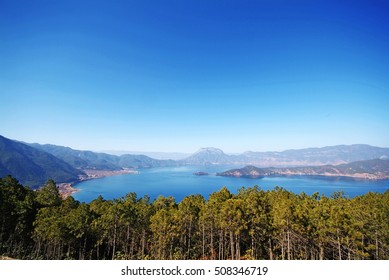 lake and pine forest 