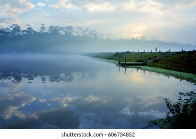 The lake in pine forest