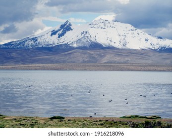 Chungará Lake And Pomerape Volcano Covered In Snow