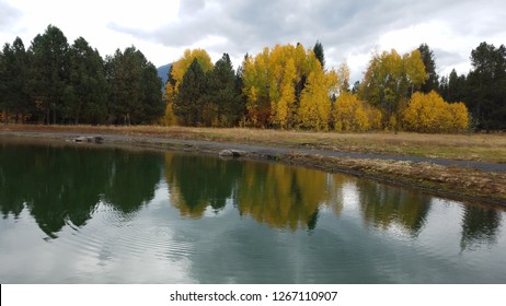 lake or pond with yellow and green trees and reflection and path