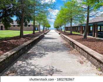 Lake Pontchartrain In The Spring