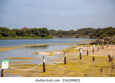 Lake Pujol Bird Protected Area In Valencia