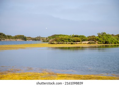 Lake Pujol Bird Protected Area In Valencia