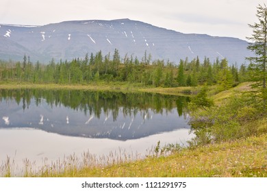 Lake in the Putorana plateau. Water summer landscape in the North of Eastern Siberia in Russia.