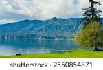 Lake Quinault, Olympic Peninsula, Washington, United States