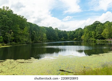 The Lake At Reedy Creek Park In Charlotte, NC.