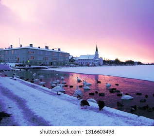 Tjörnin Lake In Reykjavik, Iceland