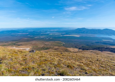 Lake Rotoaira At New Zealand