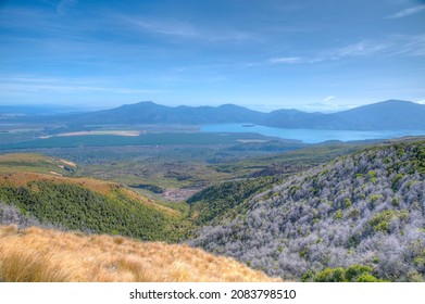 Lake Rotoaira At New Zealand