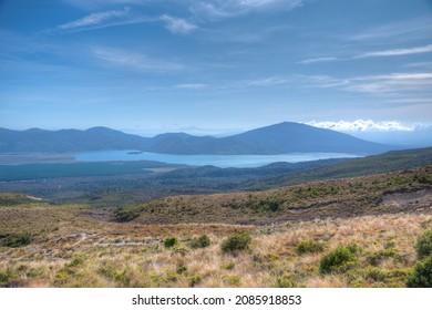 Lake Rotoaira At New Zealand