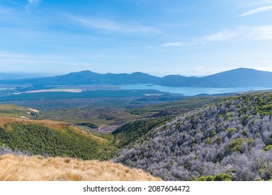 Lake Rotoaira At New Zealand