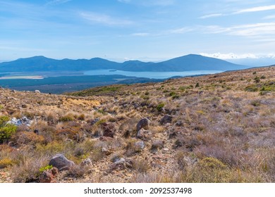 Lake Rotoaira At New Zealand