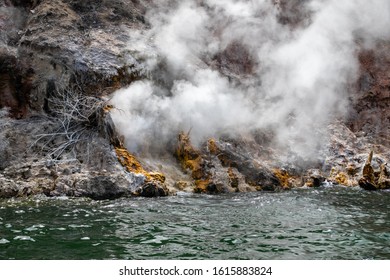 Lake Rotomahana In New Zealand