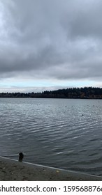 Lake Sammamish In Seattle, WA