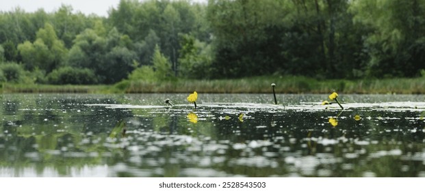 Lake Serene Tranquil Low-Angle Green Peaceful Nature Reflection - Powered by Shutterstock