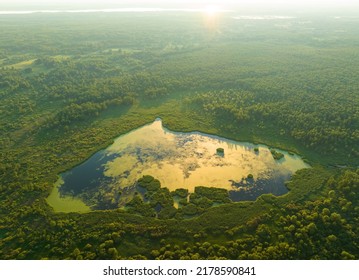 Lake in shape of a heart in forest. Freshwater Lakes. Water supply problems and water deficit, ecology and environmental. Morass and wetlands, aerial view. Mire Conservation. Bog, fen, mire landscape. - Shutterstock ID 2178590841
