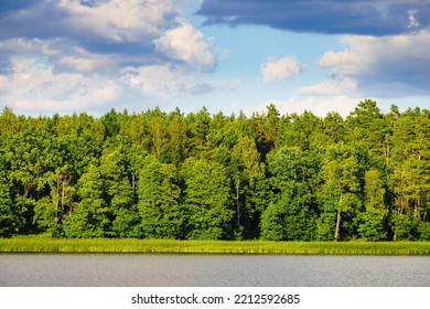 Lake Shore With Forest In Masuria Lakeland, Poland. Green Summer Landscape In Europe.