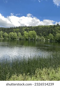 Lake side in the forest