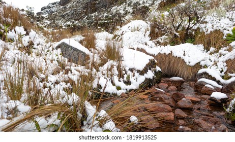 Lake With Snow In Los Nevados National Natural Park In Colombia