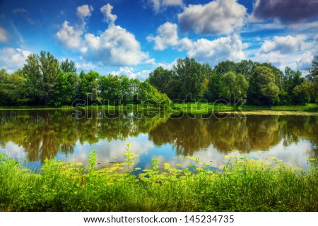 Lake in a summer forest. Sunny day, blue sky.