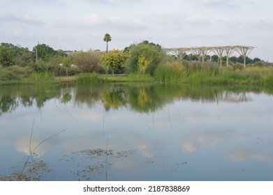 Lake At Sunset In Ariel Sharon Park