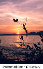 Lake Sunset Silhouette In Daniel Boone National Forest