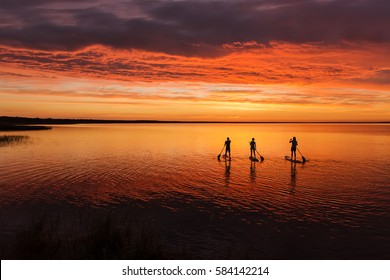 34 227件の Sup の画像 写真素材 ベクター画像 Shutterstock