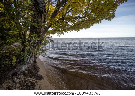 Lake Superior Beach. Tree frames a beautiful sunny beach on the shores of Lake Superior in the Upper Peninsula of Michigan. 
