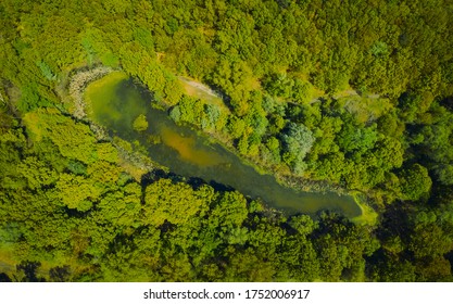 See umgeben von grünem Frühlingswald. Draufsicht auf einen mysteriösen See mit grünen Algen - Luftflug 
