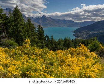 Lake surrounded by mountains, Lake Wakatipu, Queenstown Hill Time Walkway, Queenstown, Otago Region, South Island, New Zealand