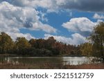 A lake surrounded by trees with fall foliage and wetland plants, in autumn, in Richard Bong State Recreation Area, Kansasville, Wisconsin, USA