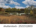 A lake surrounded by trees with fall foliage and wetland plants, in autumn, in Richard Bong State Recreation Area, Kansasville, Wisconsin, USA