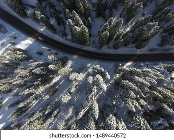 Lake Tahoe Drone Mountain Trees