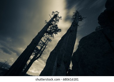 Lake Tahoe - Eagle Falls Waterfall - Emerald Bay - California - Night Photography