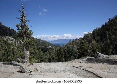 Lake Tahoe South Rim Trail 
