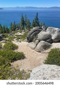 Lake Tahoe Trail And Trees