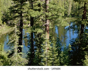 lake through the trees