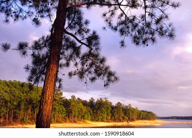 Lake Thurmond, Sumter National Forest, South Carolina, USA