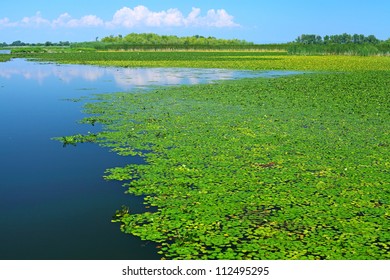 Lake Tisza, Hungary