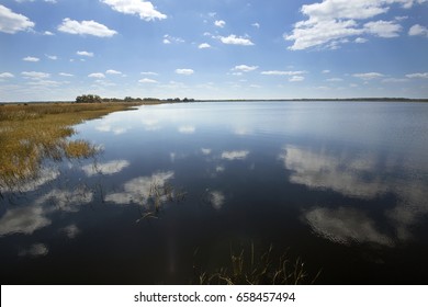 Lake Tohopekaliga At Twin Oaks Conservation Area In St. Cloud, Florida, With Abundant Marsh Wildlife Habitat.