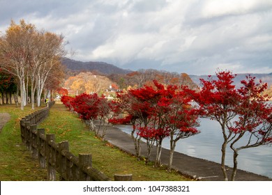 Lake Toya Scenery