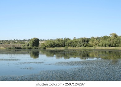 A lake with trees in the background