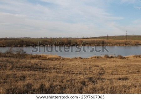 A lake with trees and grass