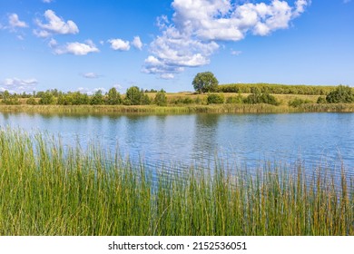 Lake With Trees At The Lakeshore