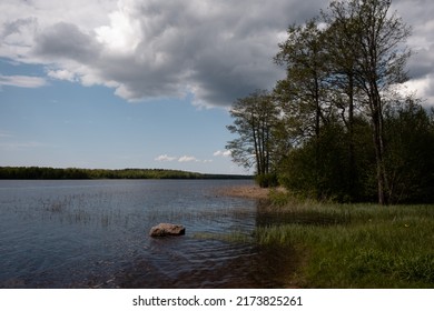 Lake.  Trees Are Reflected In The Water.  Summer, Still Water.  Clouds On The Lake.