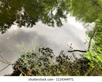 Lake, trees, reflection.