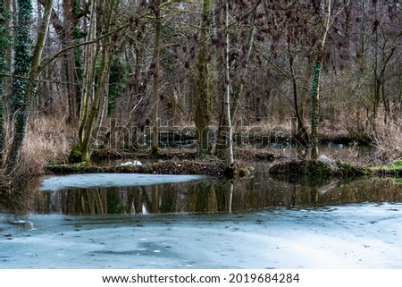 lake with trees, spring thaw